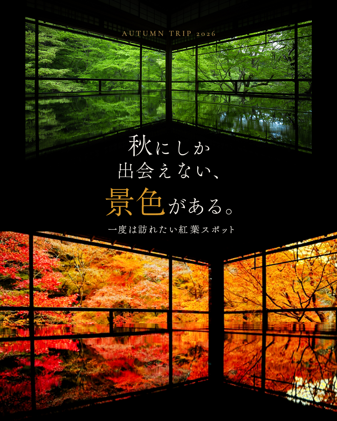 京都 秋 表紙
